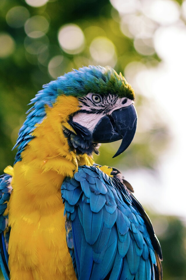 Andrew pons lylCw4zcA7I unsplash